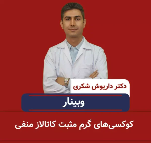 کوکسی های گرم مثبت کاتالاز منفی