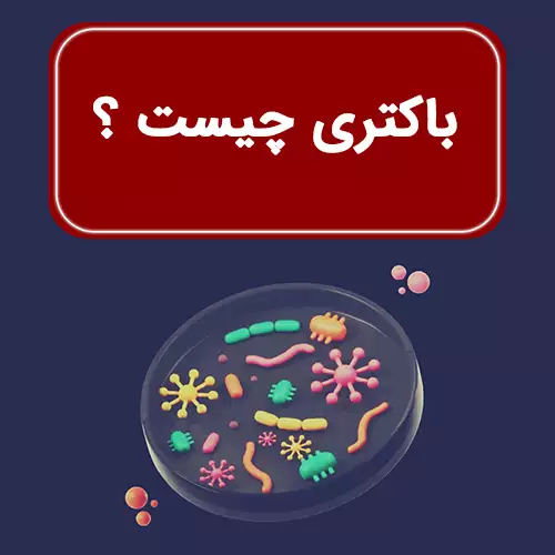 باکتری چیست